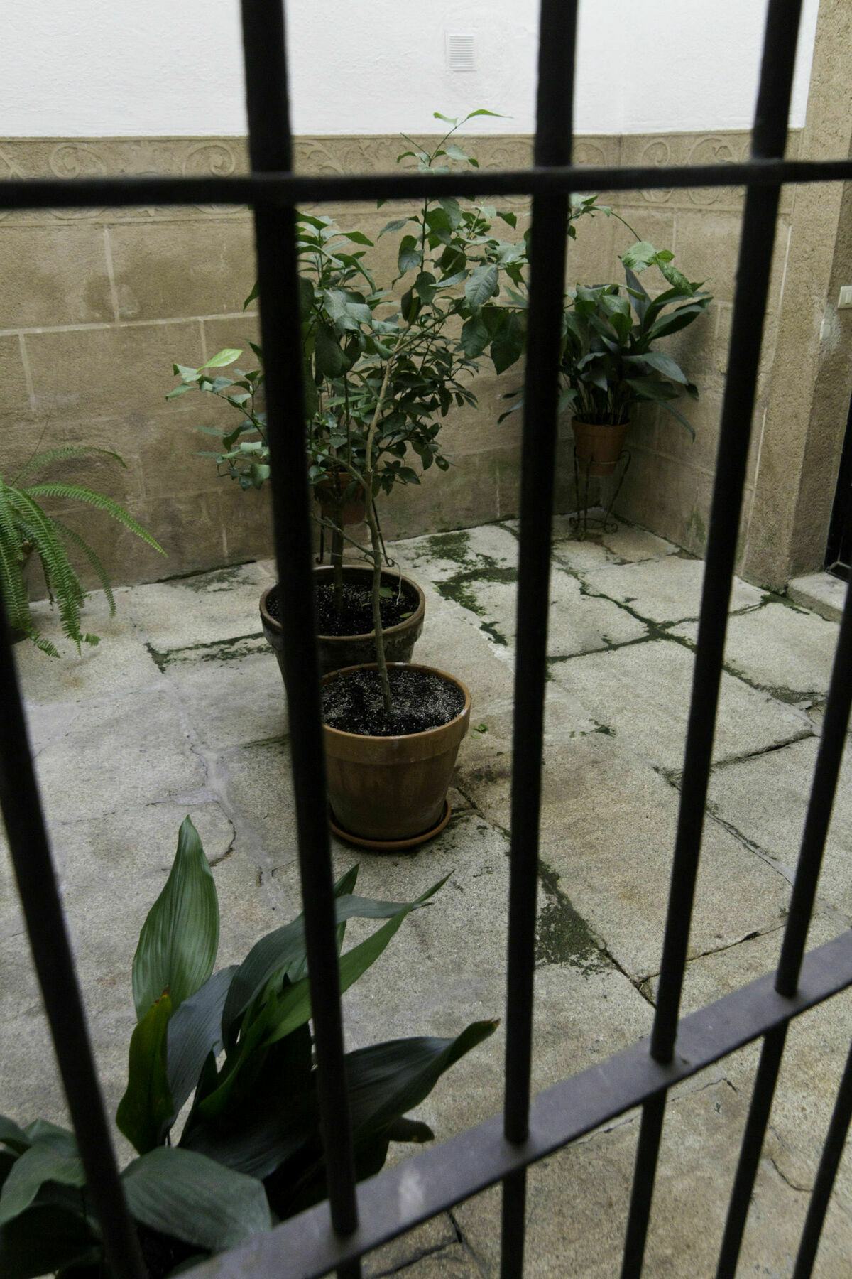 Casa Conde De Santa Olalla Caces Exterior foto